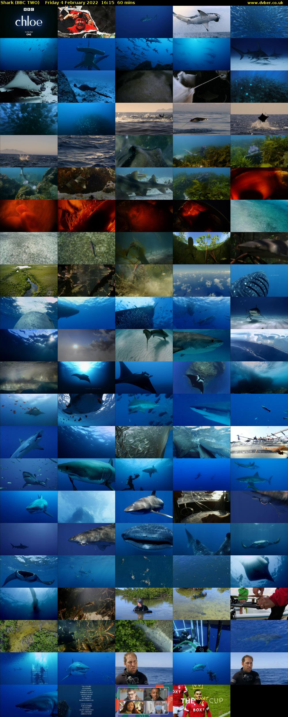 Shark (BBC TWO) Friday 4 February 2022 16:15 - 17:15