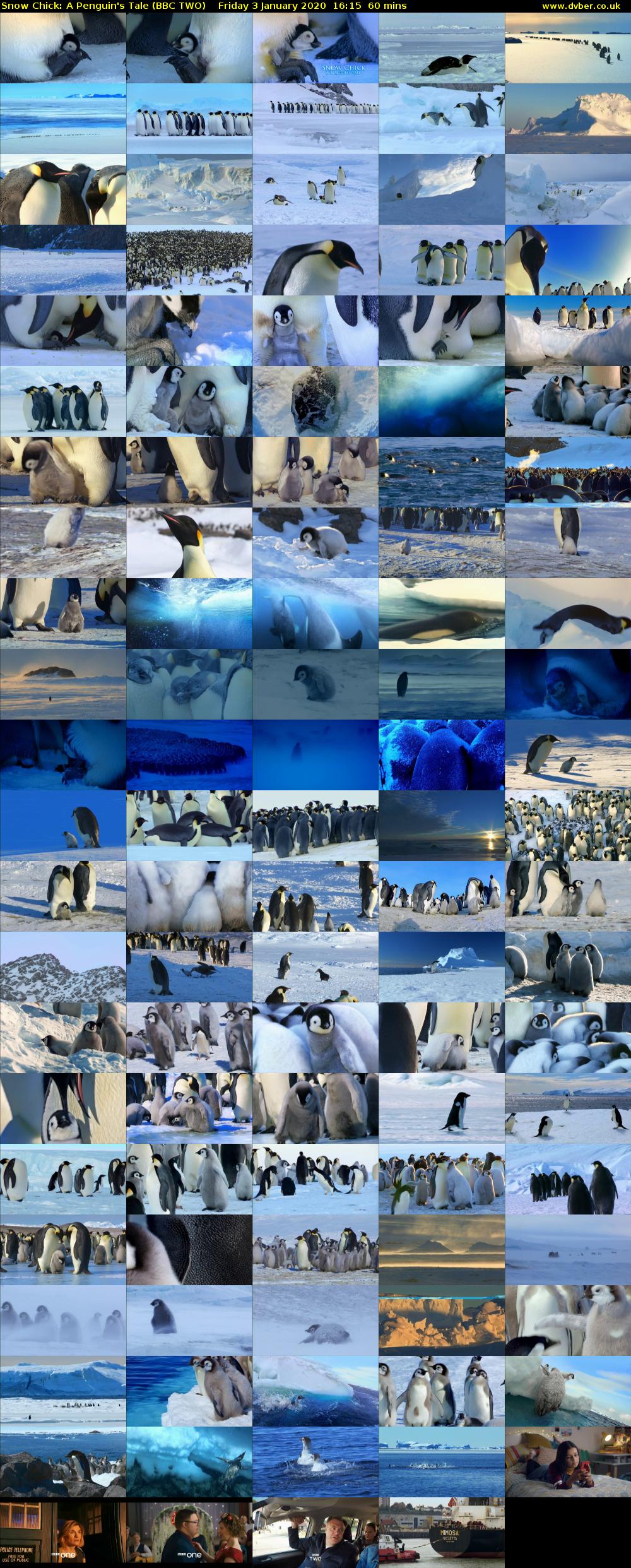 Snow Chick: A Penguin's Tale (BBC TWO) Friday 3 January 2020 16:15 - 17:15