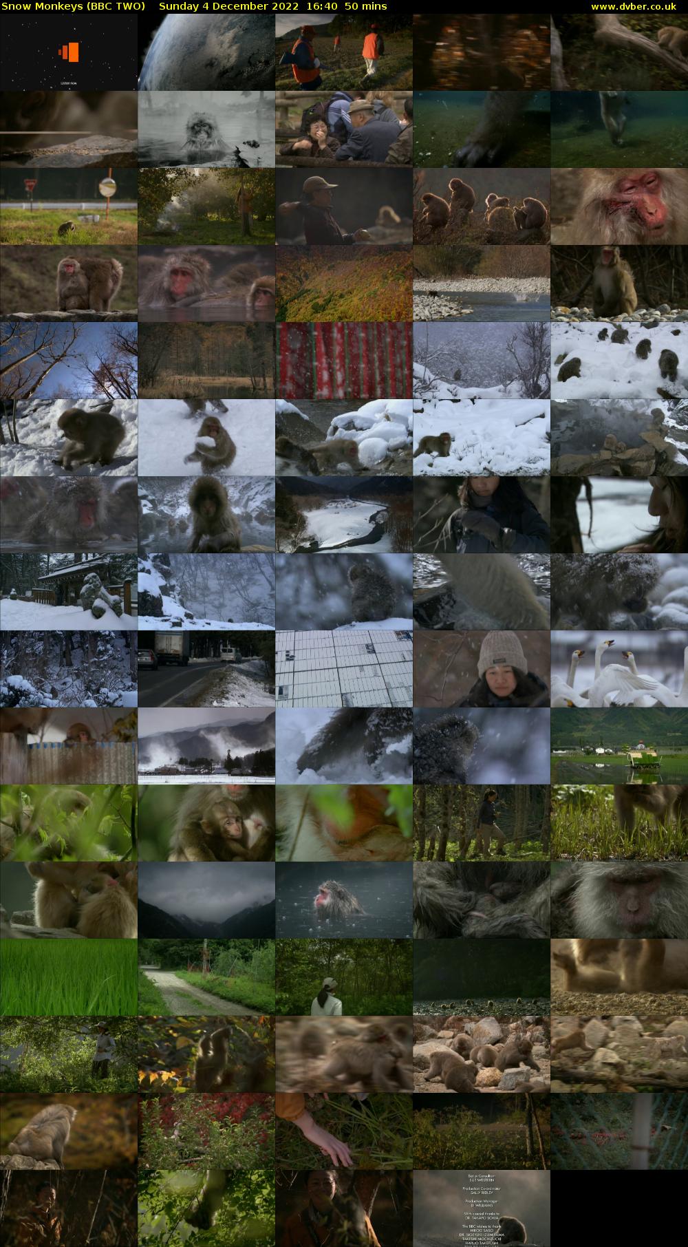 Snow Monkeys (BBC TWO) Sunday 4 December 2022 16:40 - 17:30