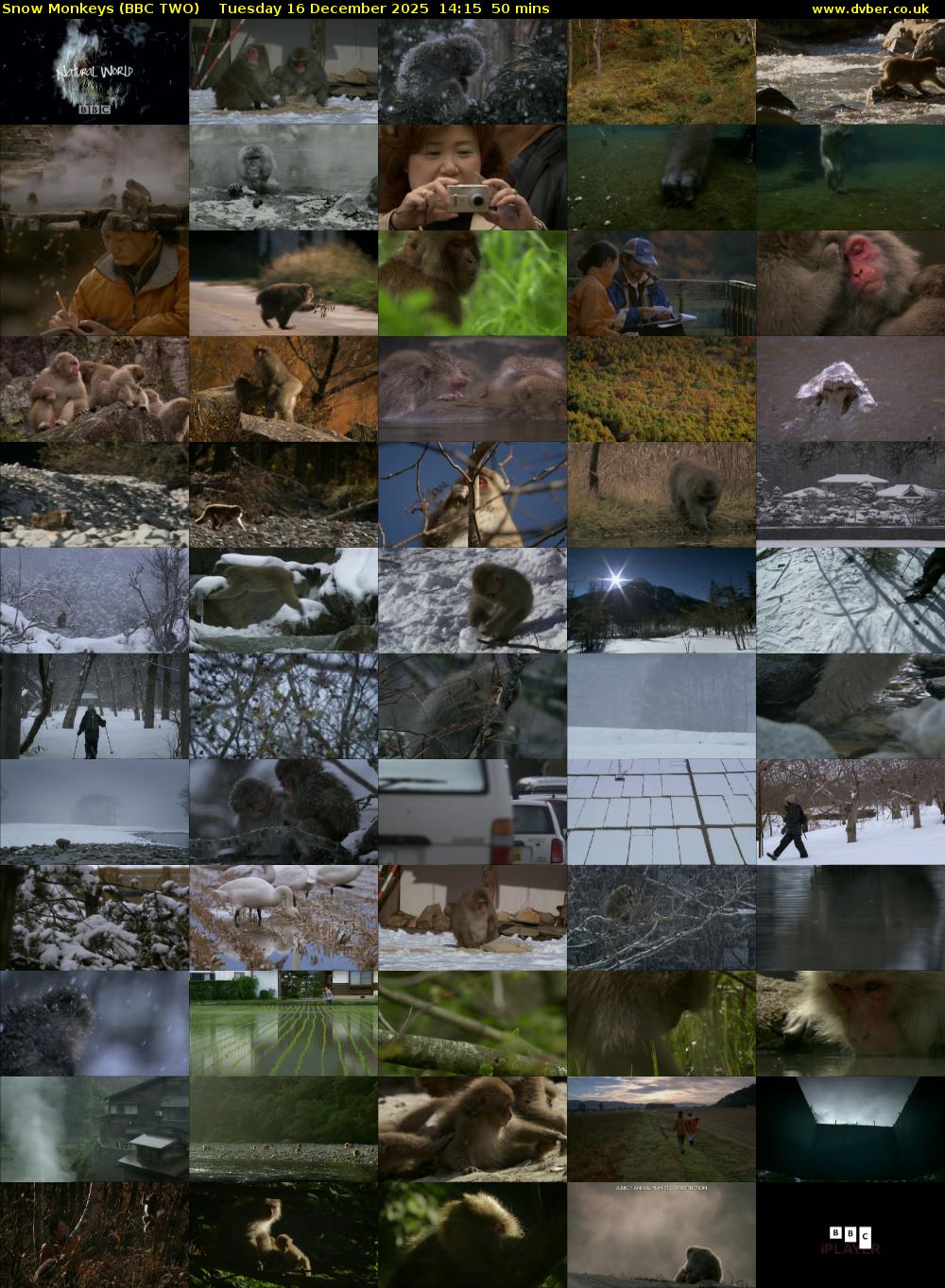 Snow Monkeys (BBC TWO) Tuesday 16 December 2025 14:15 - 15:05