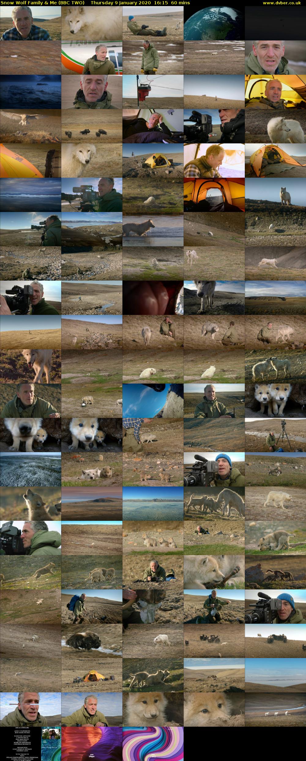 Snow Wolf Family & Me (BBC TWO) Thursday 9 January 2020 16:15 - 17:15
