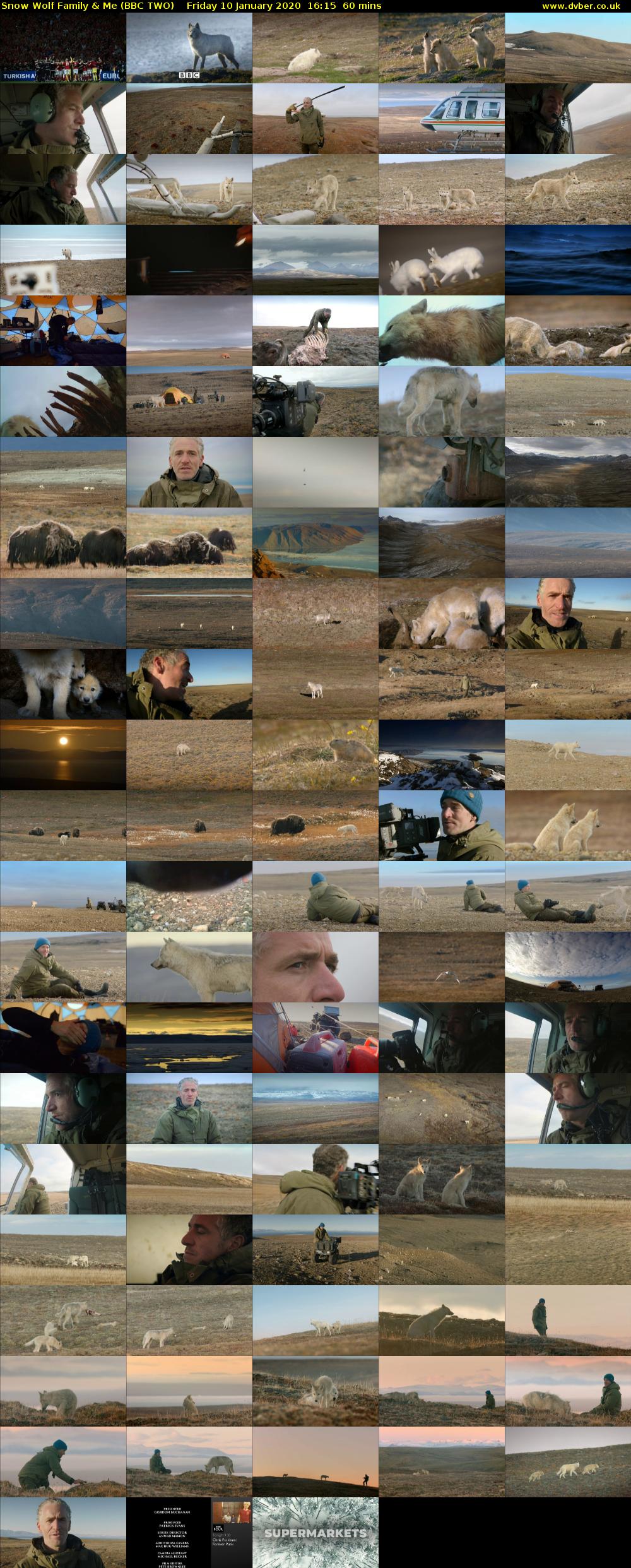 Snow Wolf Family & Me (BBC TWO) Friday 10 January 2020 16:15 - 17:15