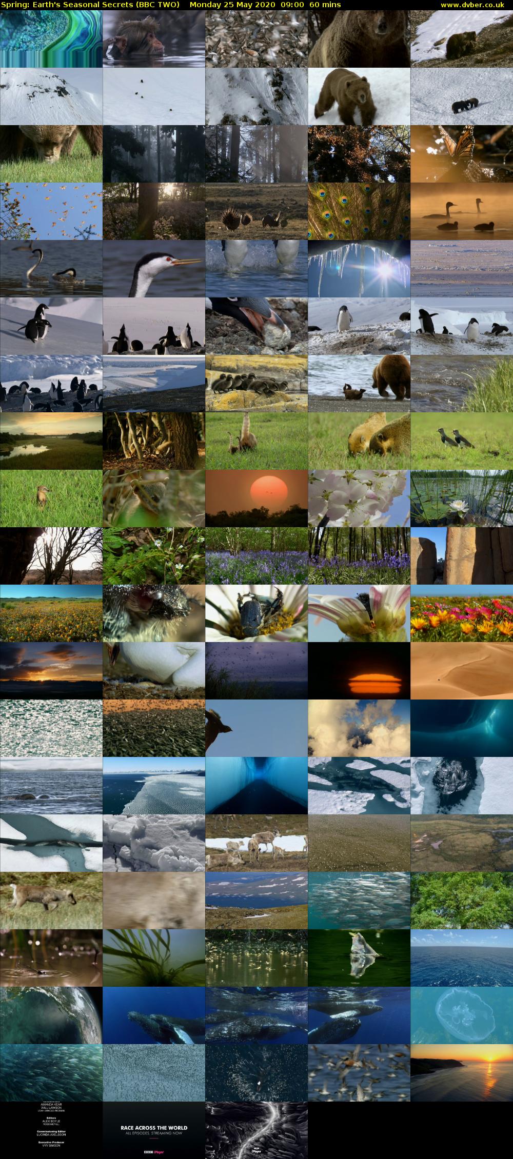 Spring: Earth's Seasonal Secrets (BBC TWO) Monday 25 May 2020 09:00 - 10:00