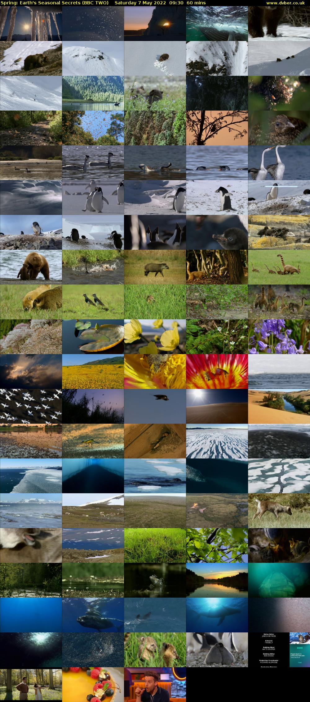 Spring: Earth's Seasonal Secrets (BBC TWO) Saturday 7 May 2022 09:30 - 10:30