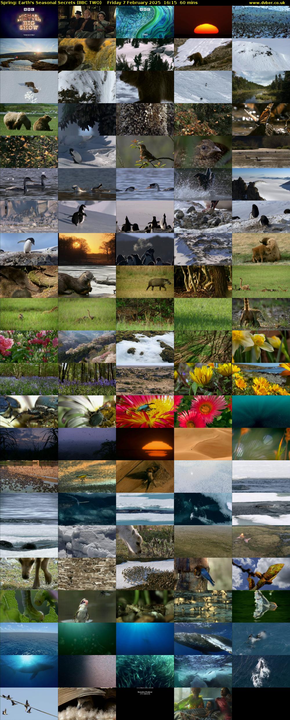Spring: Earth's Seasonal Secrets (BBC TWO) Friday 7 February 2025 16:15 - 17:15