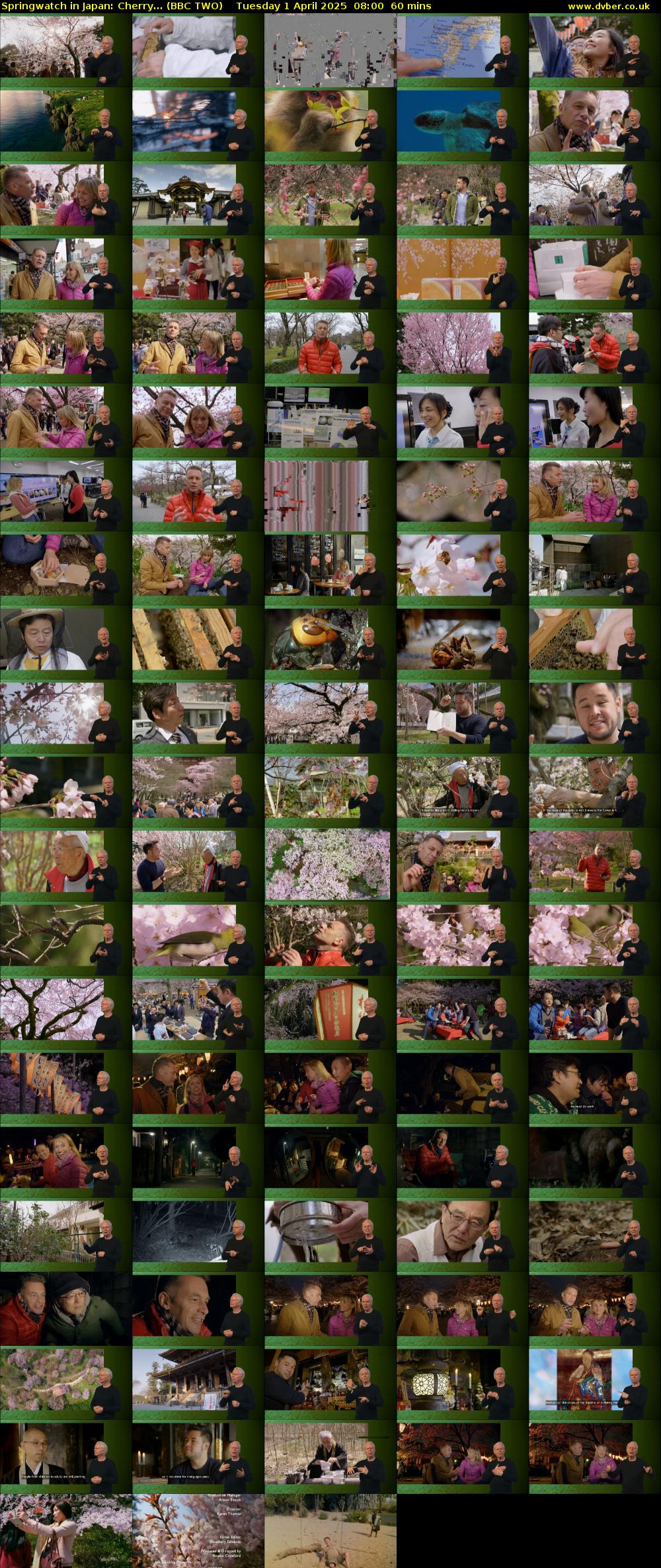 Springwatch in Japan: Cherry... (BBC TWO) Tuesday 1 April 2025 08:00 - 09:00