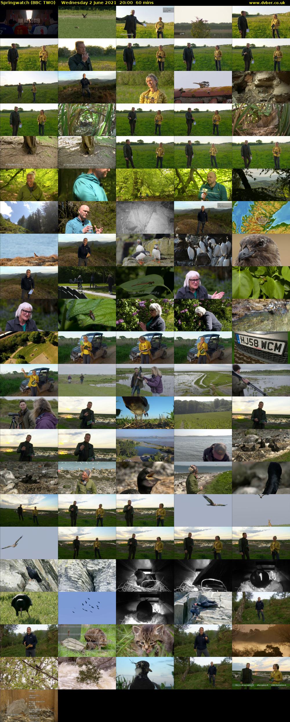 Springwatch Bbc Two 2021 06 02 2000