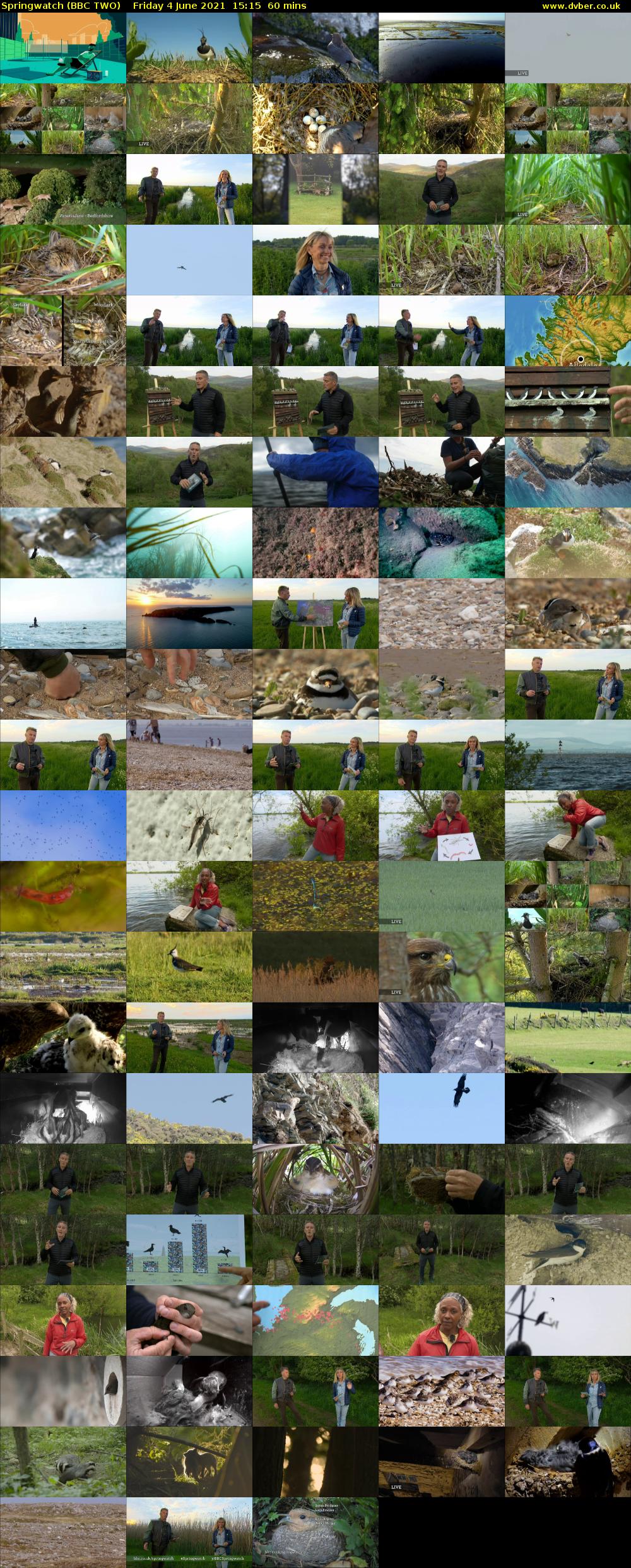 Springwatch Bbc Two 2021 06 04 1515