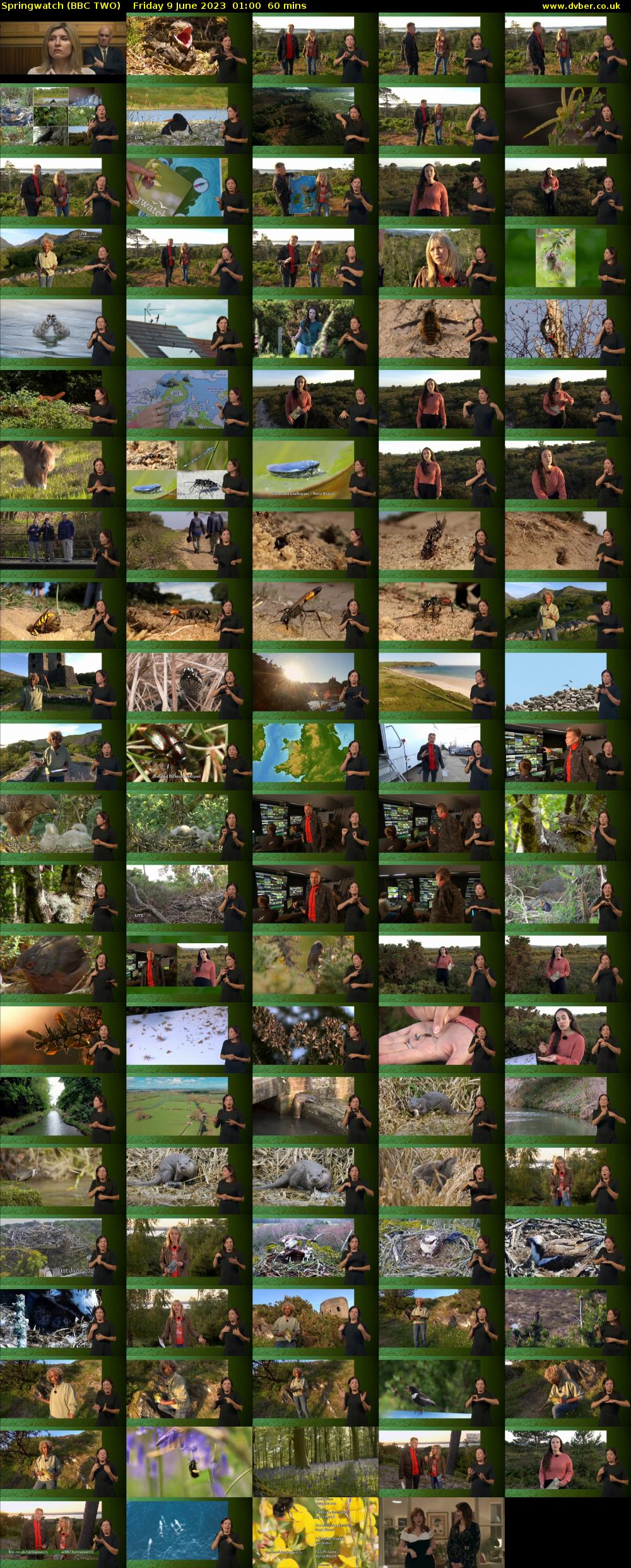 Springwatch (BBC TWO) Friday 9 June 2023 01:00 - 02:00