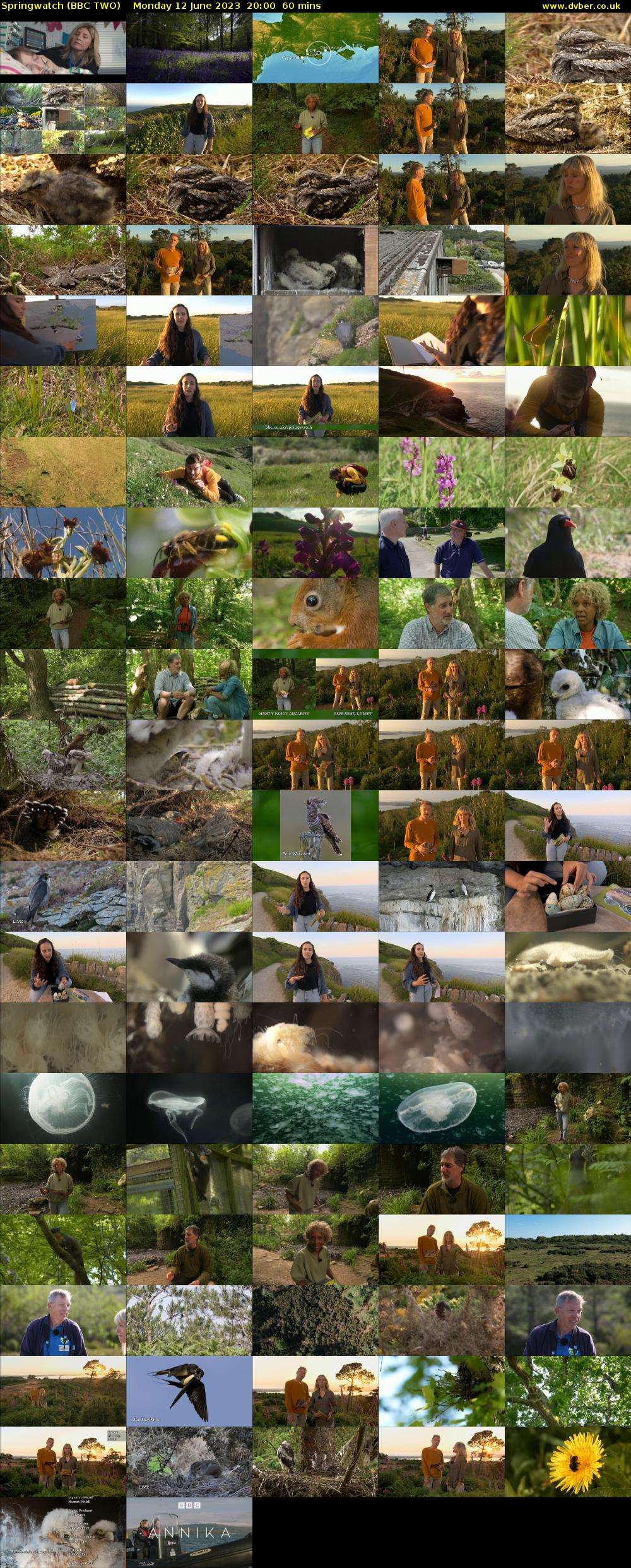 Springwatch (BBC TWO) Monday 12 June 2023 20:00 - 21:00