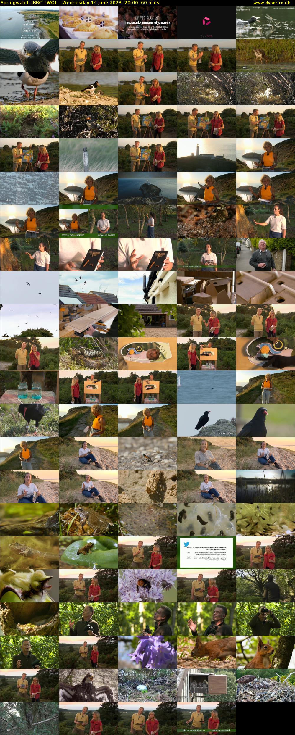 Springwatch (BBC TWO) Wednesday 14 June 2023 20:00 - 21:00