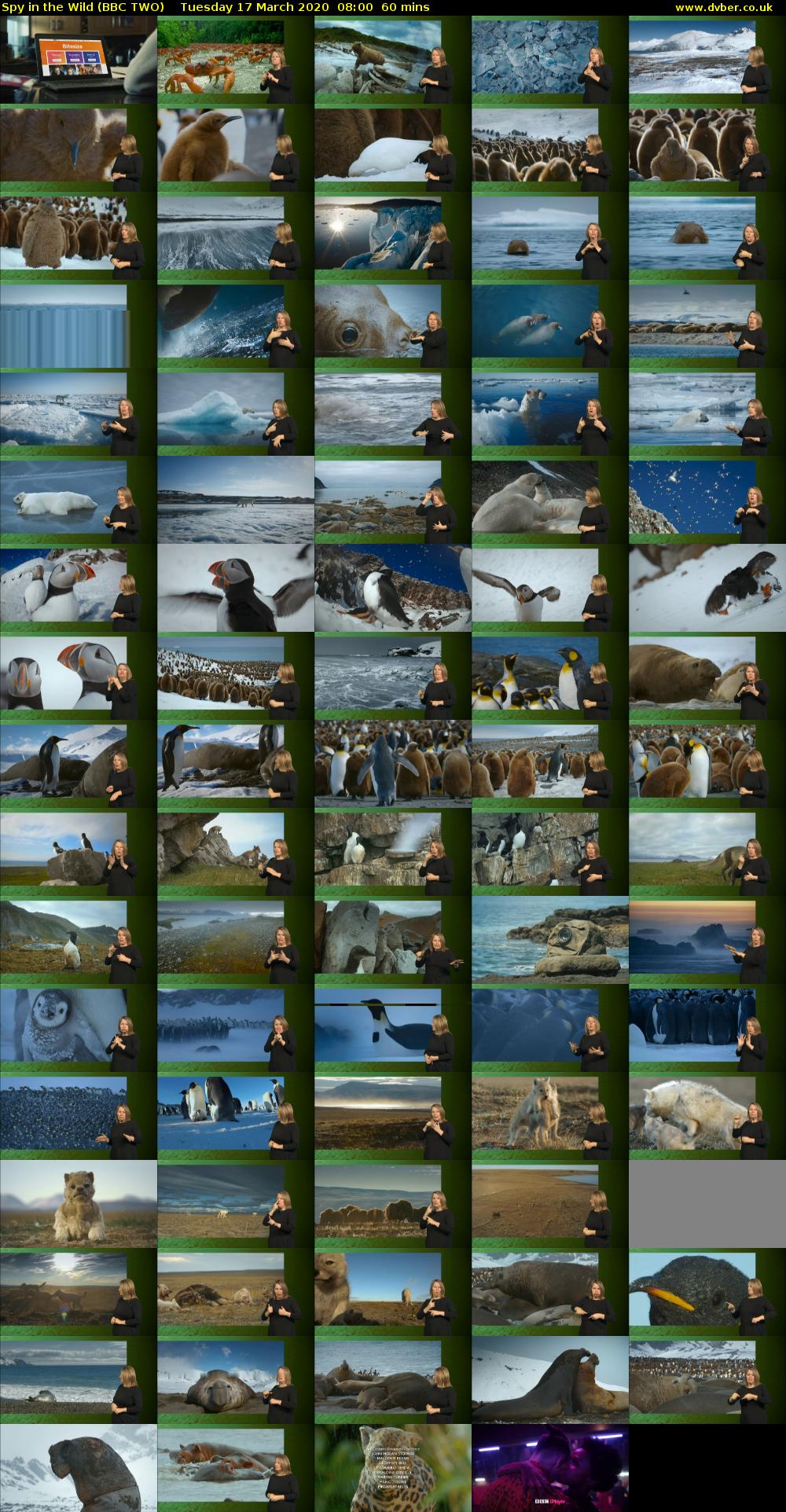 Spy in the Wild (BBC TWO) Tuesday 17 March 2020 08:00 - 09:00