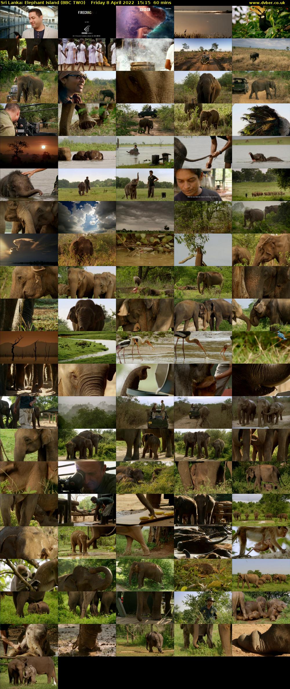 Sri Lanka: Elephant Island (BBC TWO) Friday 8 April 2022 15:15 - 16:15