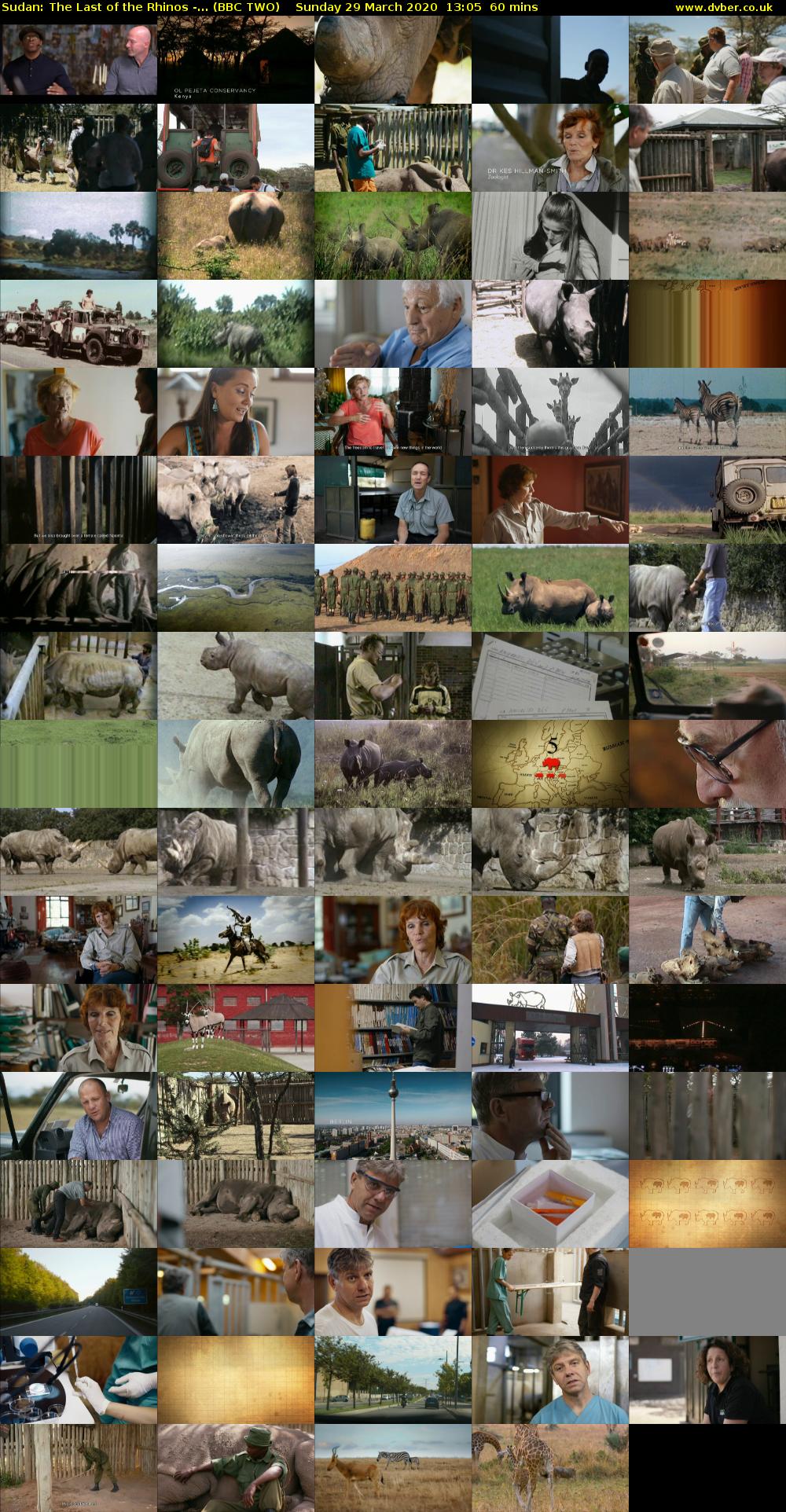 Sudan: The Last of the Rhinos -... (BBC TWO) Sunday 29 March 2020 13:05 - 14:05