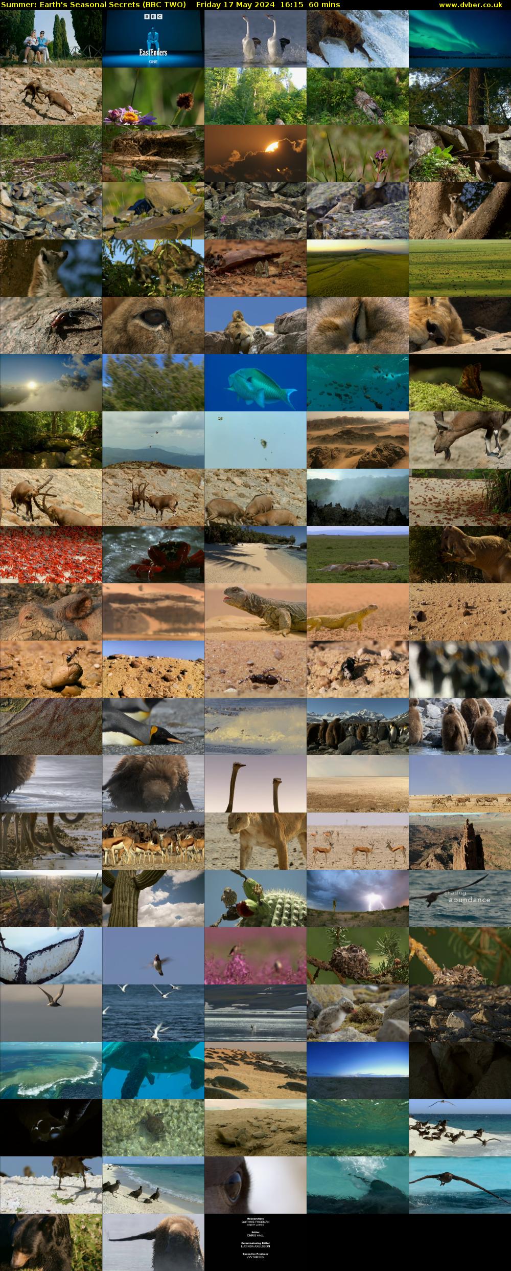 Summer: Earth's Seasonal Secrets (BBC TWO) Friday 17 May 2024 16:15 - 17:15