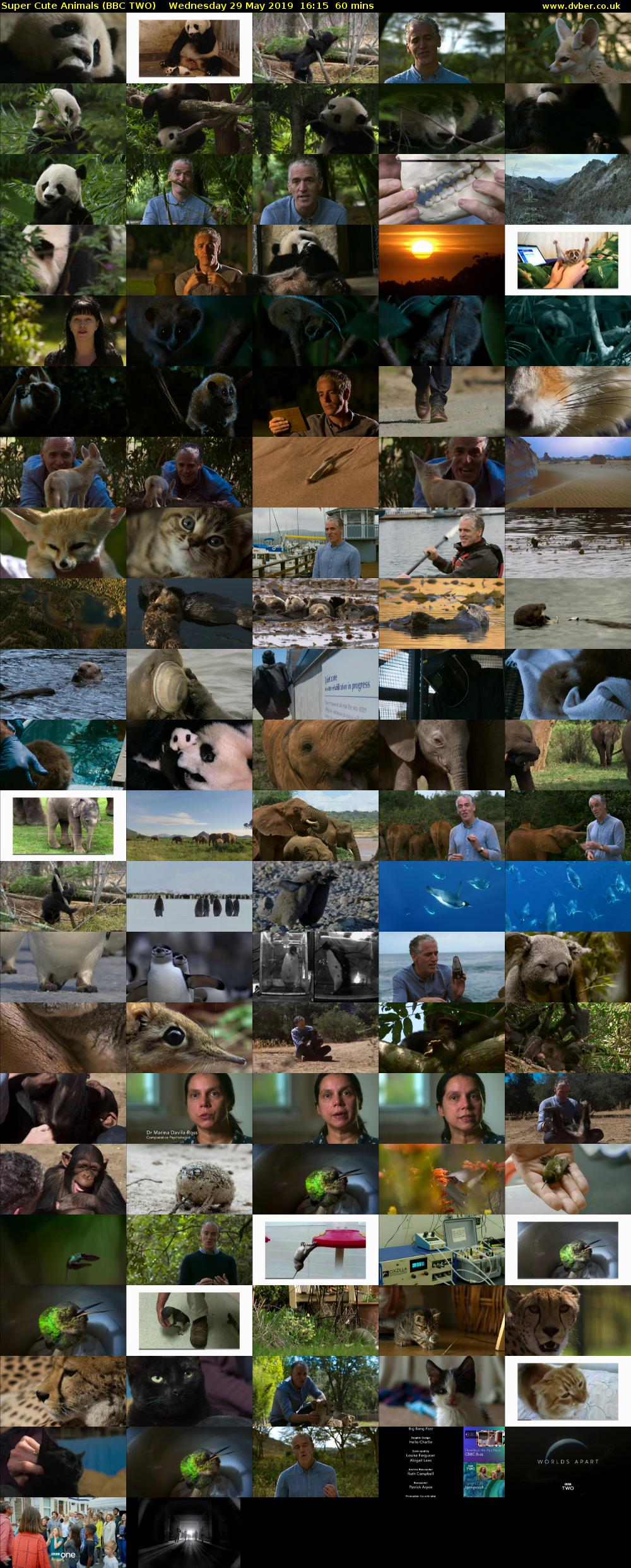 Super Cute Animals (BBC TWO) Wednesday 29 May 2019 16:15 - 17:15