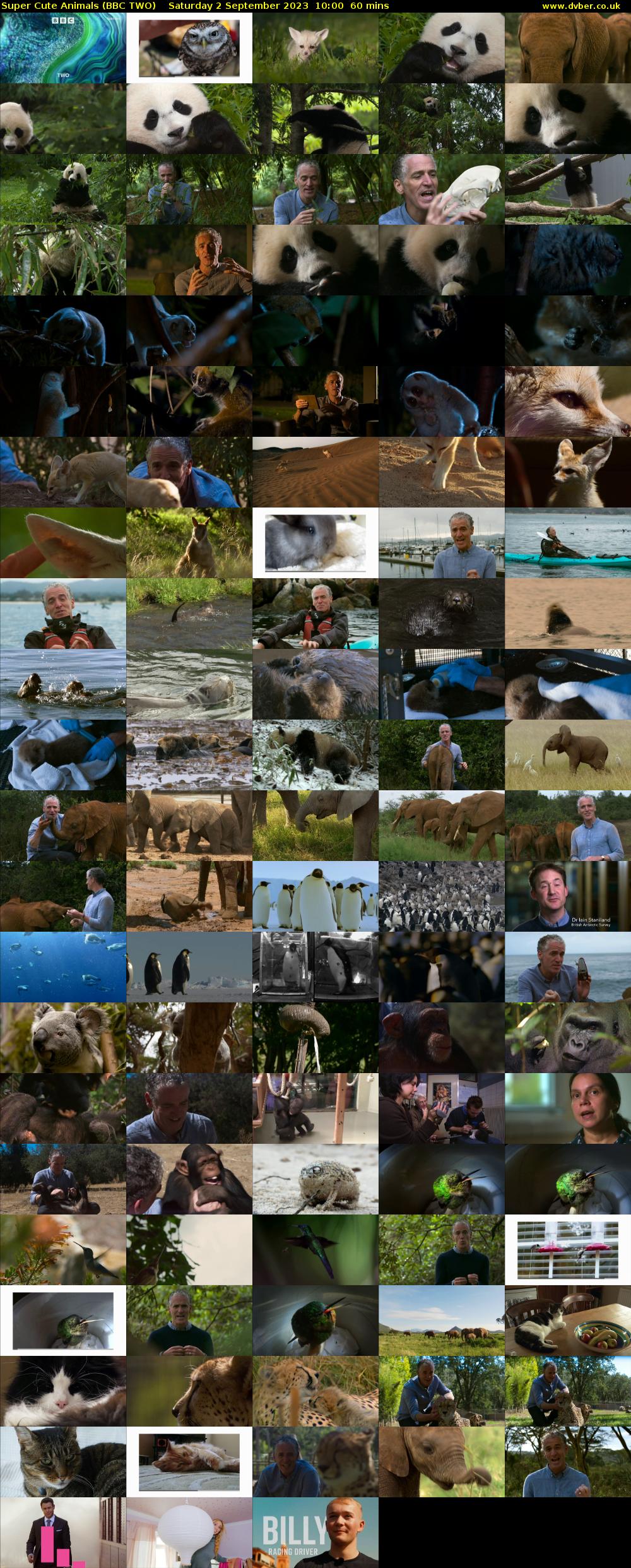 Super Cute Animals (BBC TWO) Saturday 2 September 2023 10:00 - 11:00