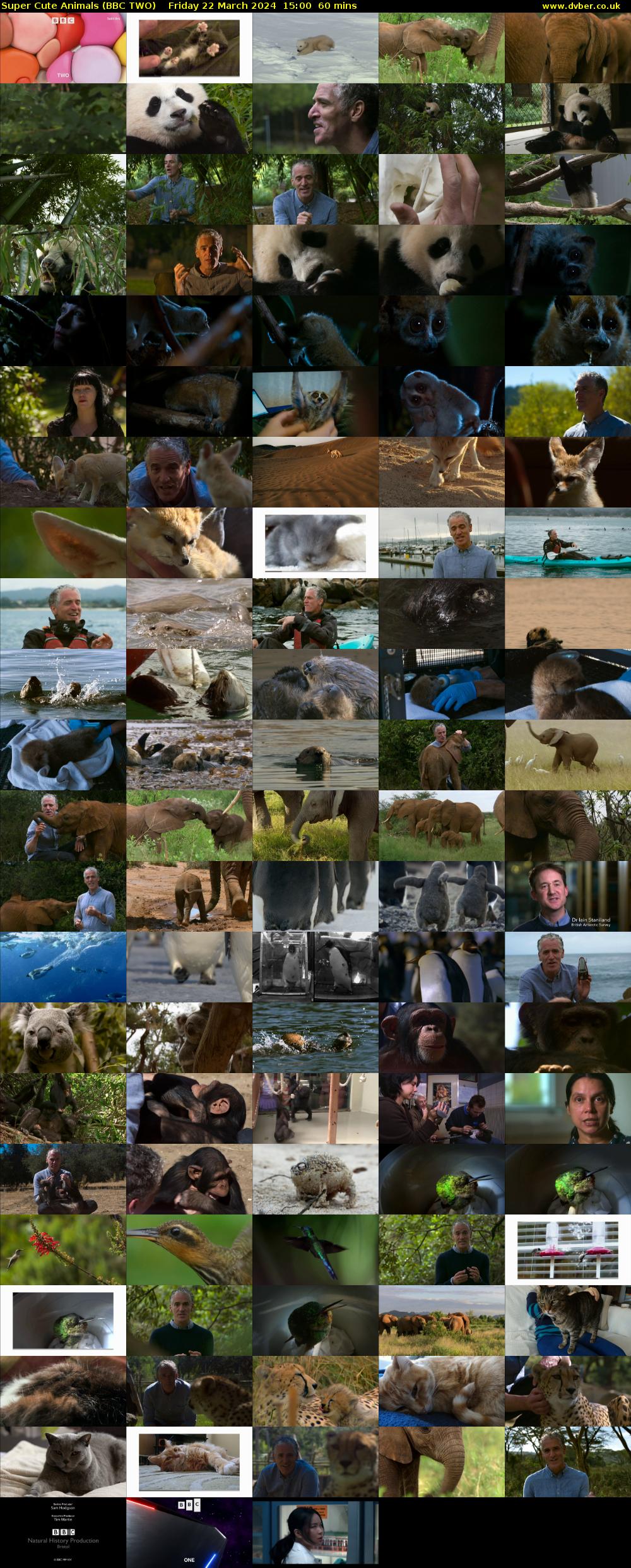 Super Cute Animals (BBC TWO) Friday 22 March 2024 15:00 - 16:00