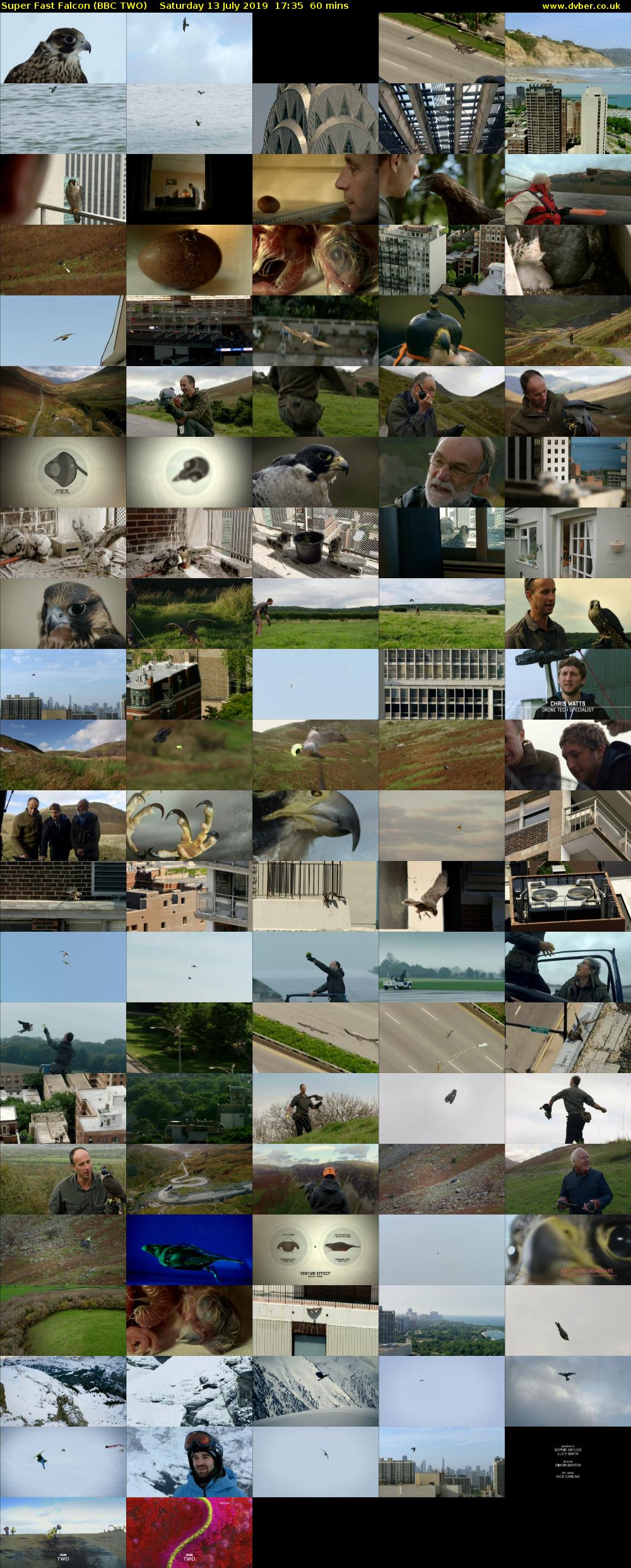 Super Fast Falcon (BBC TWO) Saturday 13 July 2019 17:35 - 18:35