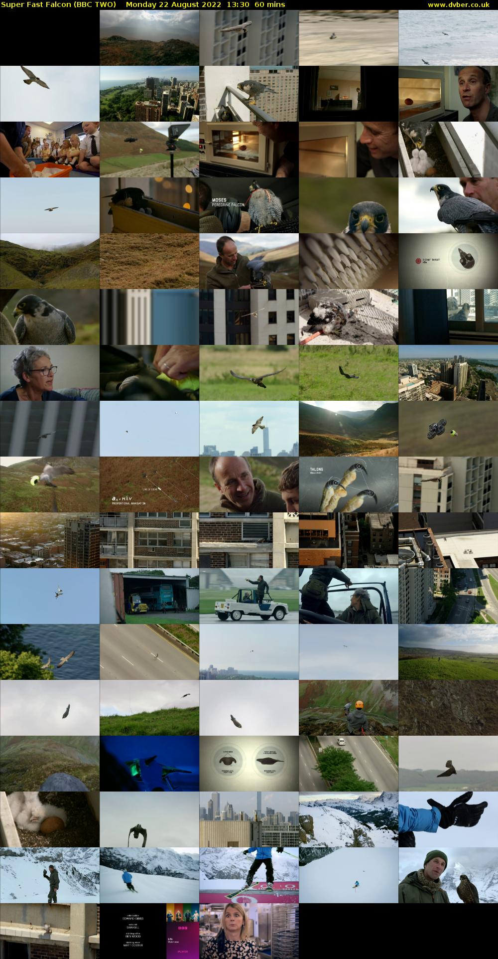Super Fast Falcon (BBC TWO) Monday 22 August 2022 13:30 - 14:30