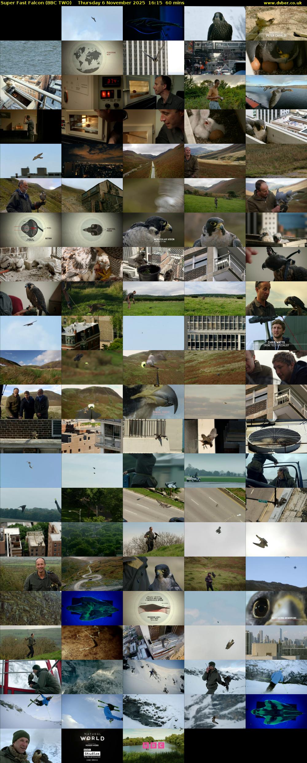 Super Fast Falcon (BBC TWO) Thursday 6 November 2025 16:15 - 17:15