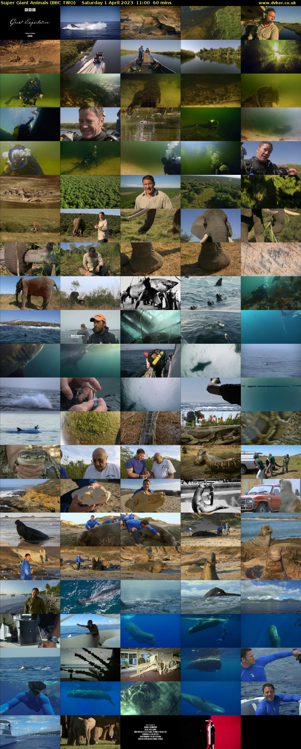 Super Giant Animals (BBC TWO) Saturday 1 April 2023 11:00 - 12:00
