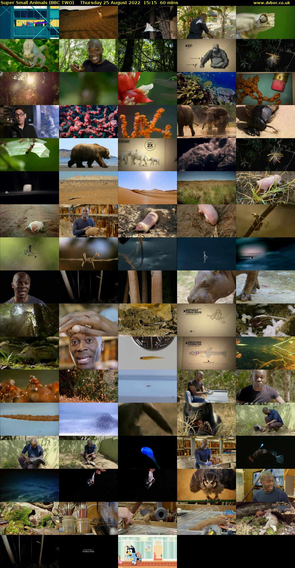 Super Small Animals (BBC TWO) Thursday 25 August 2022 15:15 - 16:15