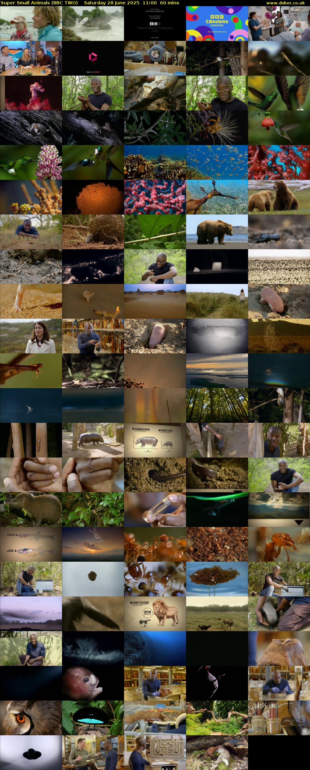 Super Small Animals (BBC TWO) Saturday 28 June 2025 11:00 - 12:00