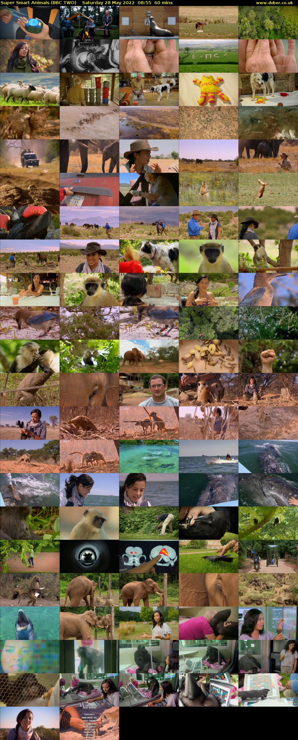 Super Smart Animals (BBC TWO) Saturday 28 May 2022 08:55 - 09:55