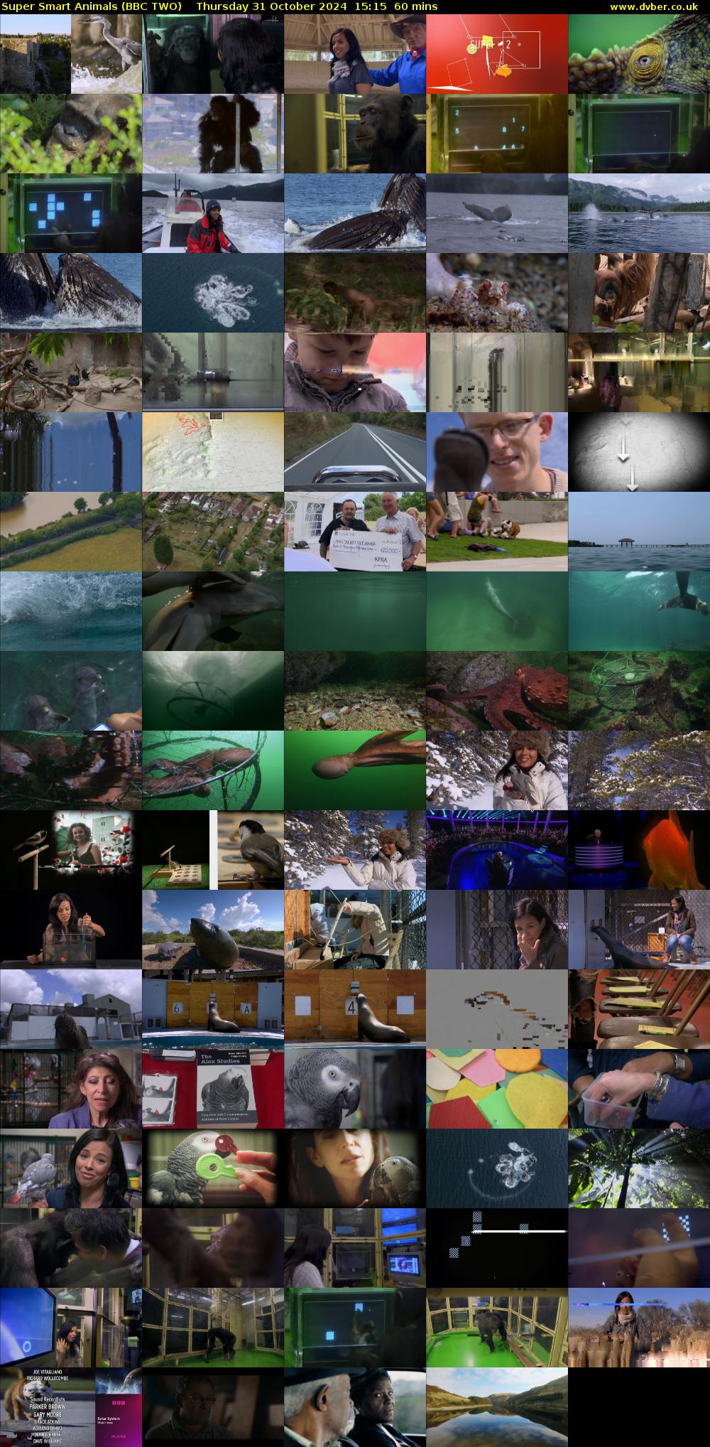Super Smart Animals (BBC TWO) Thursday 31 October 2024 15:15 - 16:15