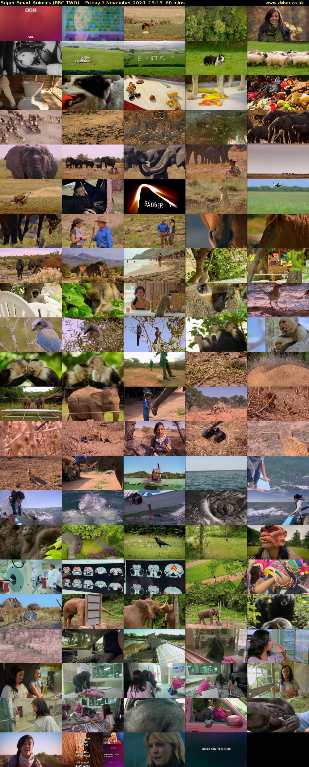Super Smart Animals (BBC TWO) Friday 1 November 2024 15:15 - 16:15