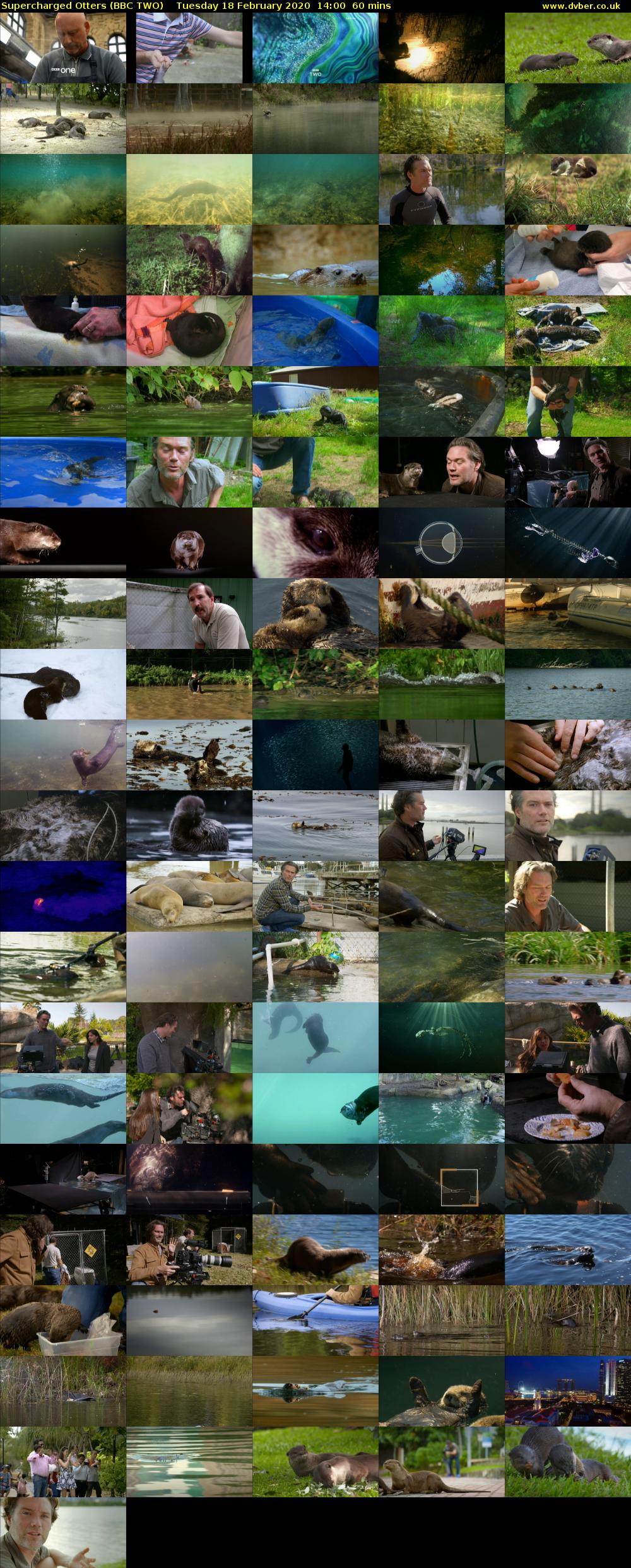 Supercharged Otters (BBC TWO) Tuesday 18 February 2020 14:00 - 15:00