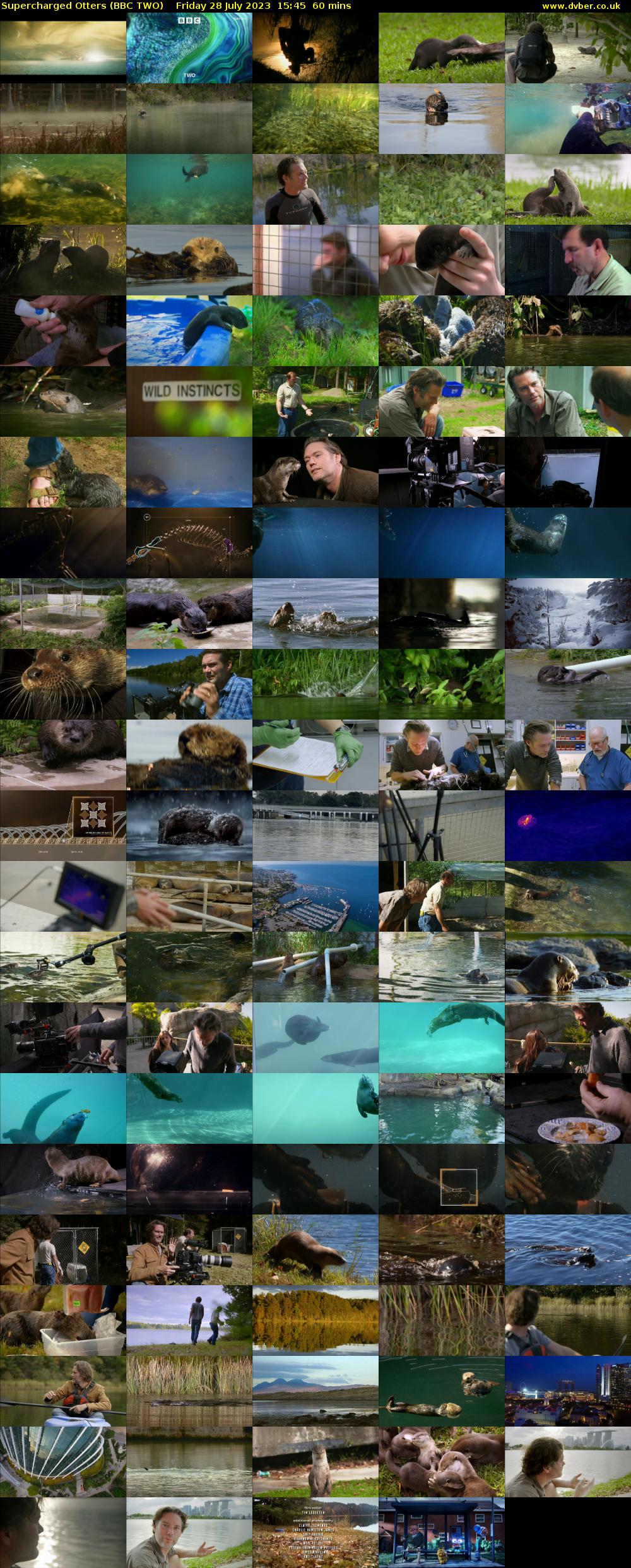 Supercharged Otters (BBC TWO) Friday 28 July 2023 15:45 - 16:45