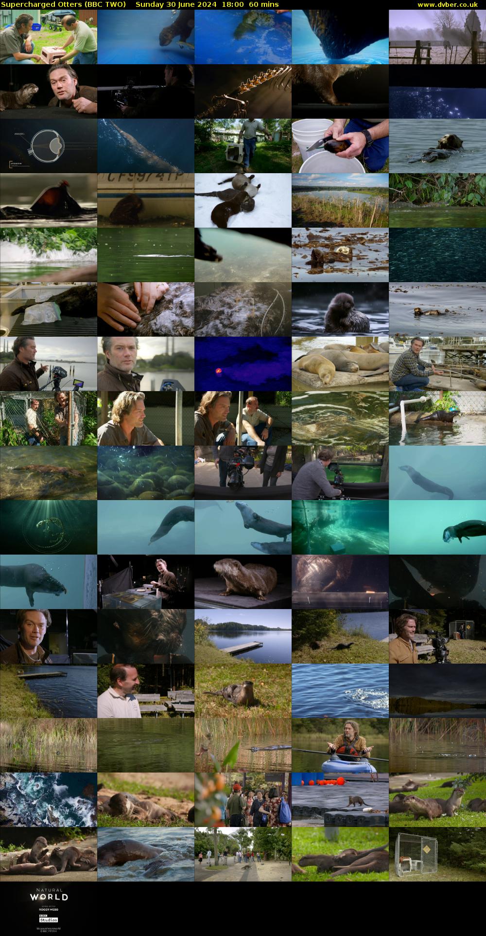Supercharged Otters (BBC TWO) Sunday 30 June 2024 18:00 - 19:00