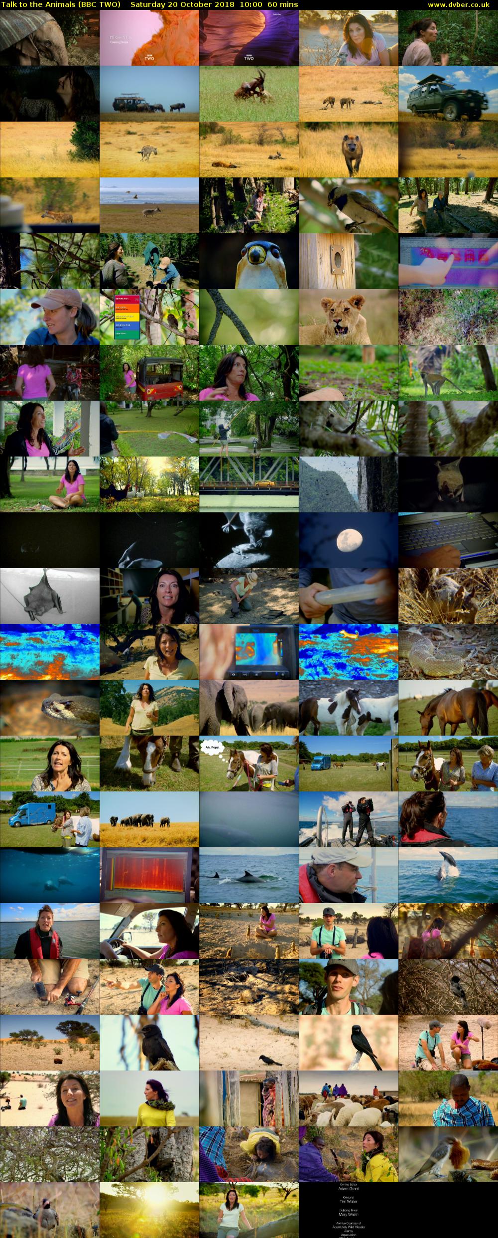Talk to the Animals (BBC TWO) Saturday 20 October 2018 10:00 - 11:00