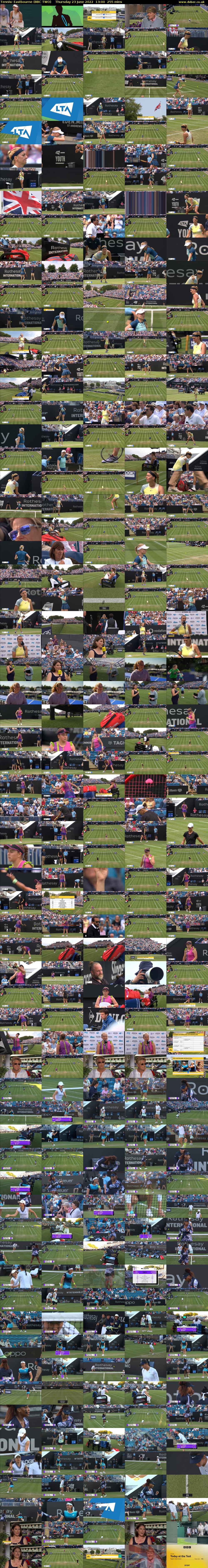 Tennis: Eastbourne (BBC TWO) Thursday 23 June 2022 13:00 - 17:15