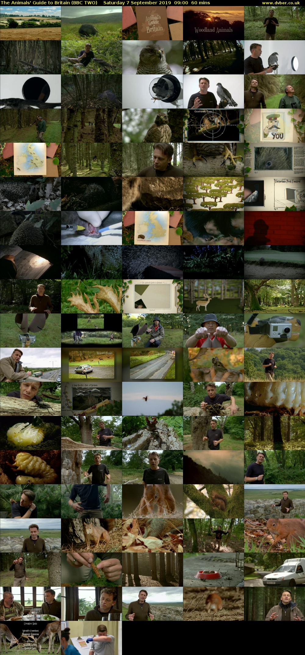 The Animals' Guide to Britain (BBC TWO) Saturday 7 September 2019 09:00 - 10:00