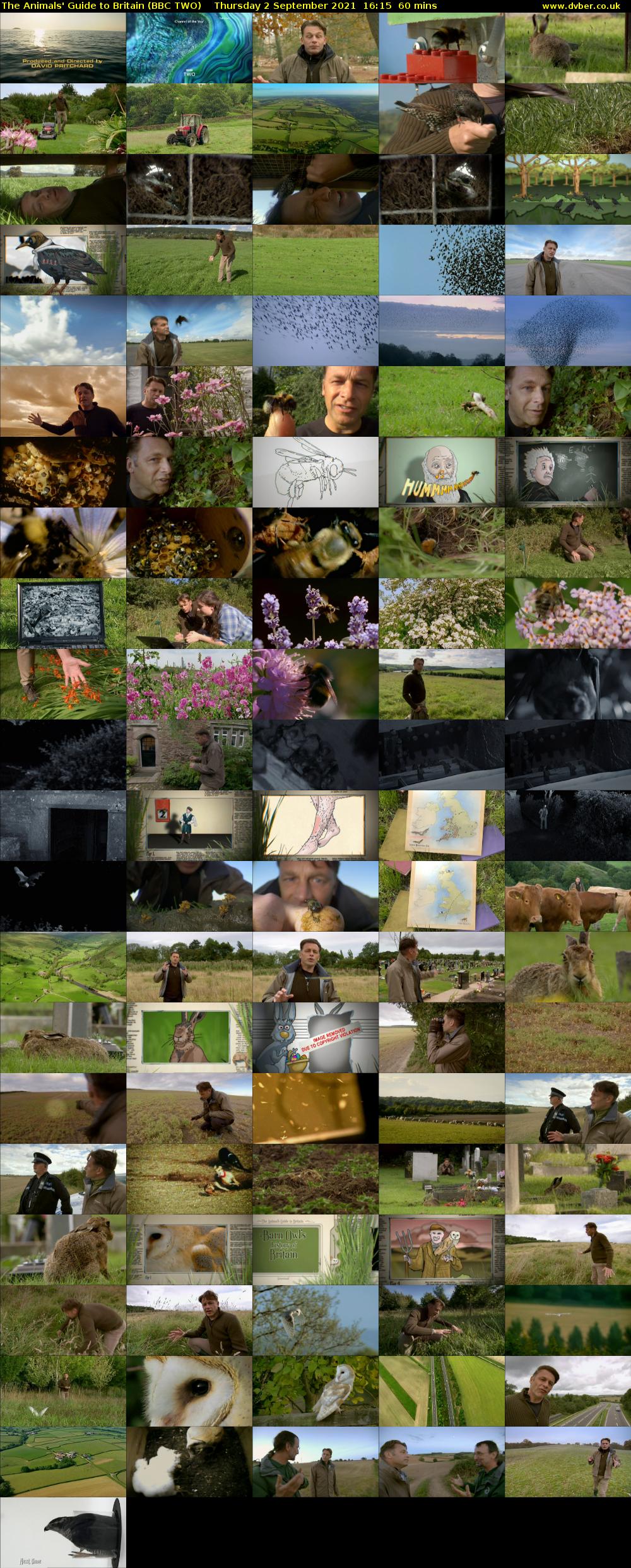 The Animals' Guide to Britain (BBC TWO) Thursday 2 September 2021 16:15 - 17:15