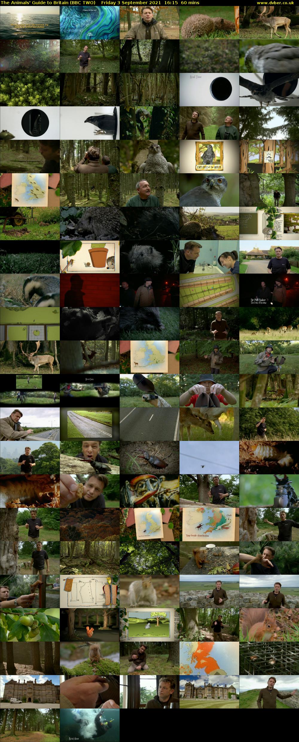 The Animals' Guide to Britain (BBC TWO) Friday 3 September 2021 16:15 - 17:15