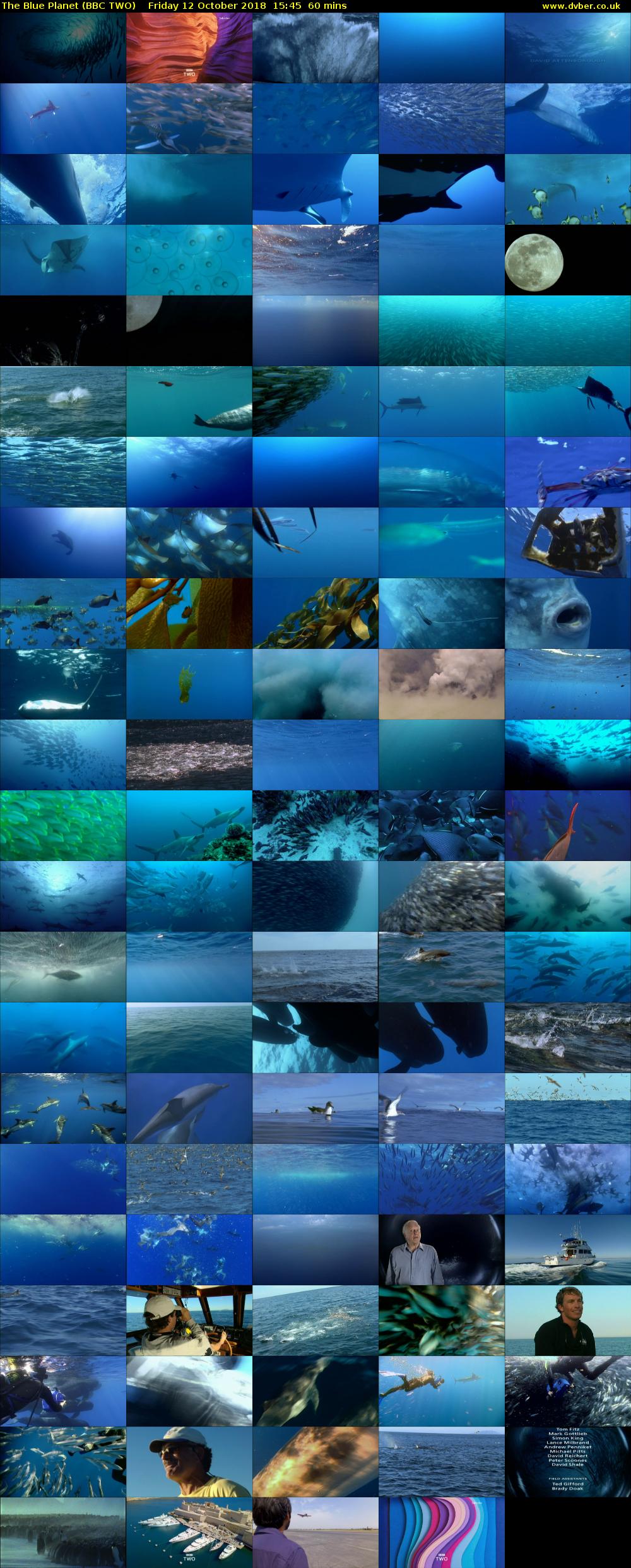 The Blue Planet (BBC TWO) Friday 12 October 2018 15:45 - 16:45