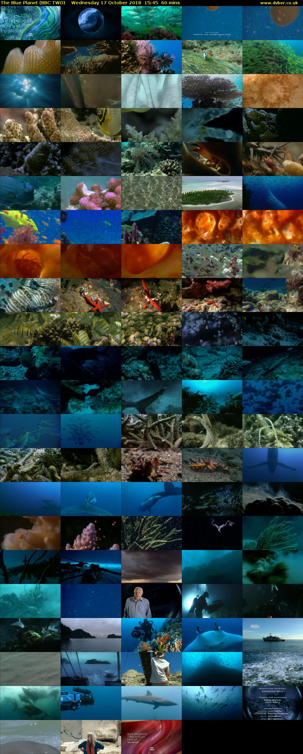 The Blue Planet (BBC TWO) Wednesday 17 October 2018 15:45 - 16:45