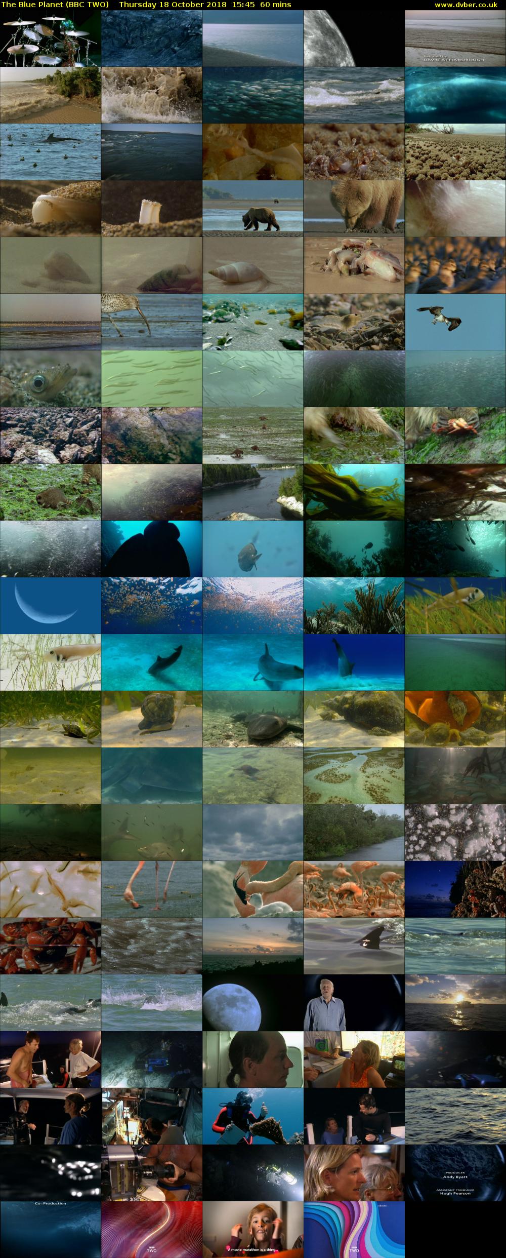 The Blue Planet (BBC TWO) Thursday 18 October 2018 15:45 - 16:45