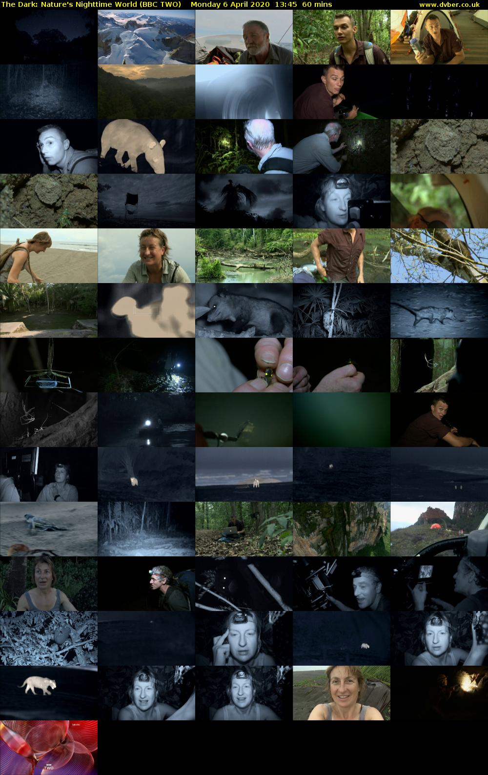The Dark: Nature's Nighttime World (BBC TWO) Monday 6 April 2020 13:45 - 14:45