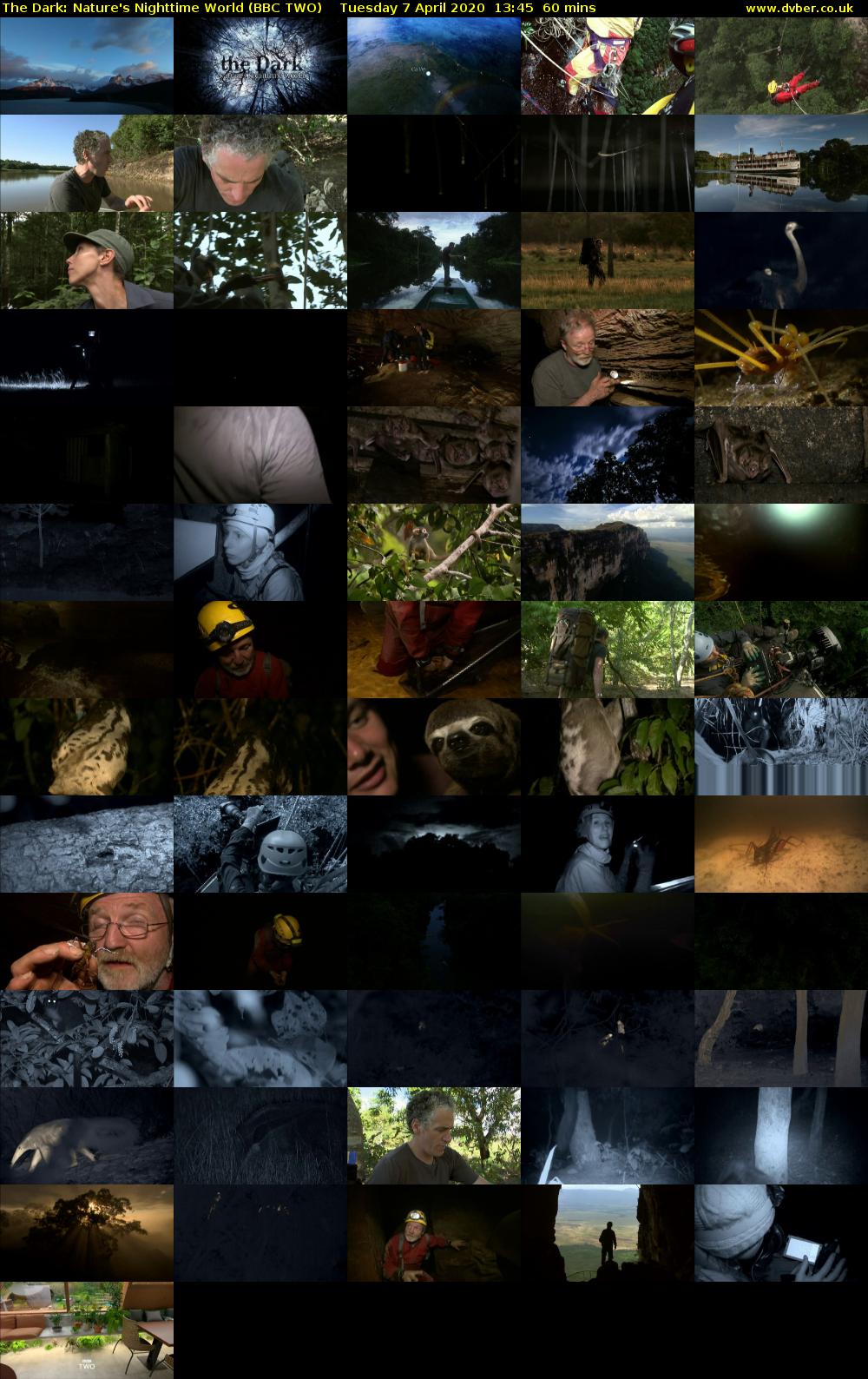 The Dark: Nature's Nighttime World (BBC TWO) Tuesday 7 April 2020 13:45 - 14:45