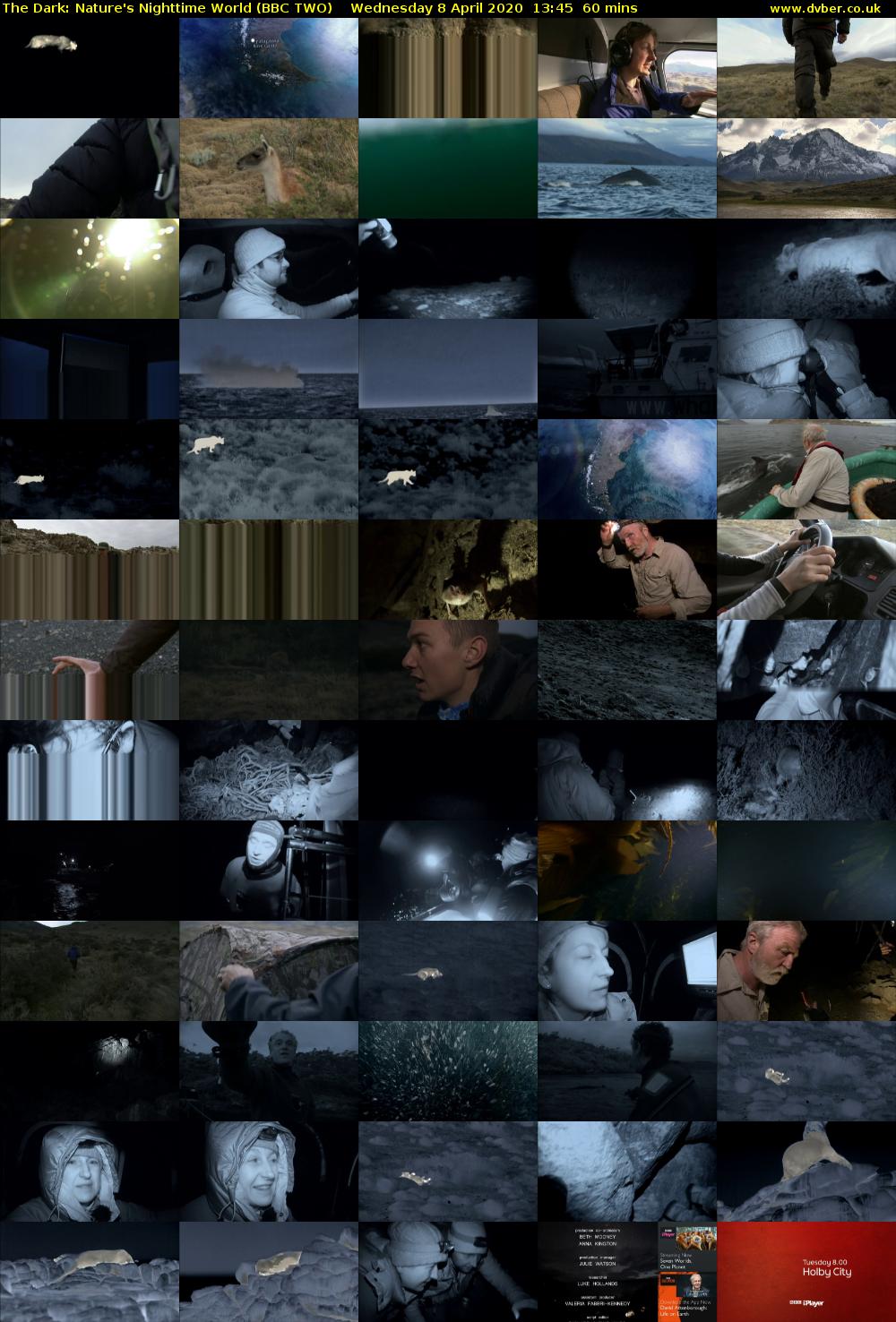 The Dark: Nature's Nighttime World (BBC TWO) Wednesday 8 April 2020 13:45 - 14:45