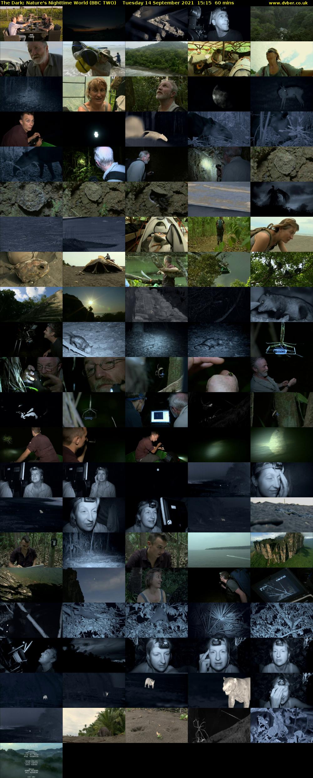 The Dark: Nature's Nighttime World (BBC TWO) Tuesday 14 September 2021 15:15 - 16:15