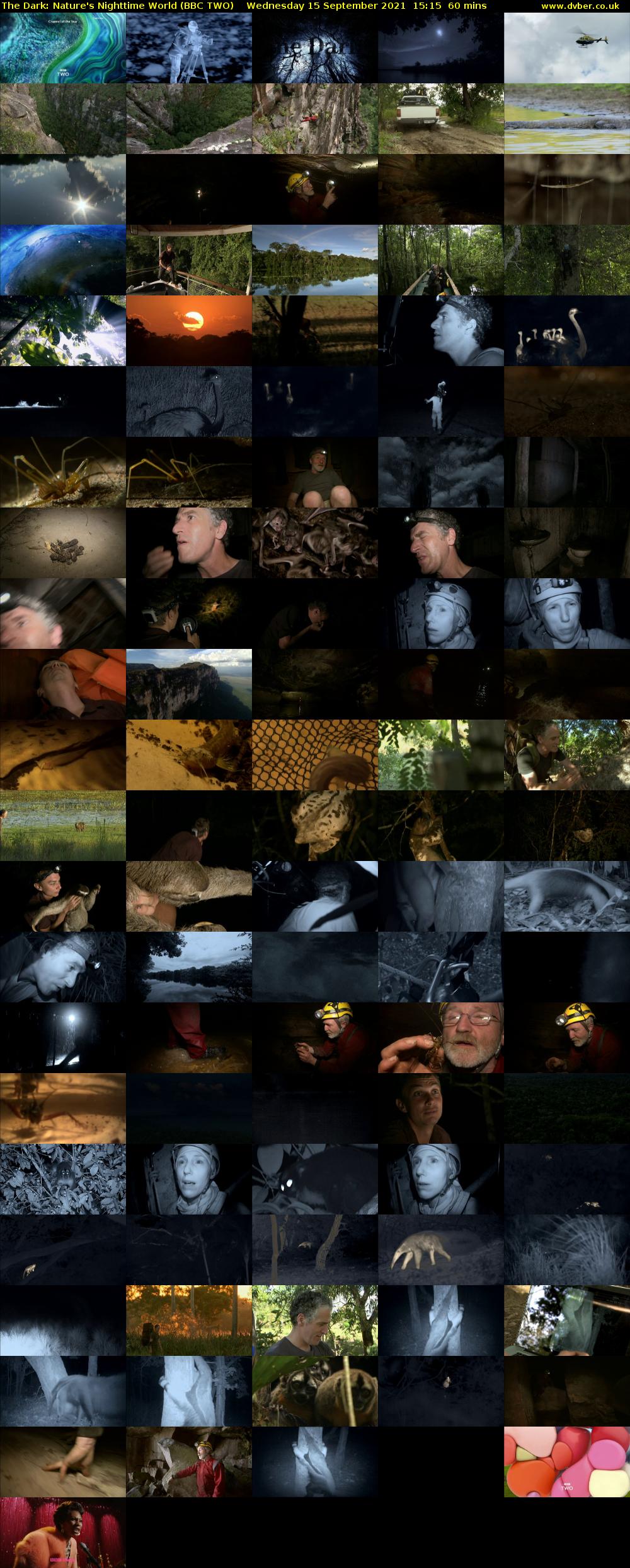 The Dark: Nature's Nighttime World (BBC TWO) Wednesday 15 September 2021 15:15 - 16:15