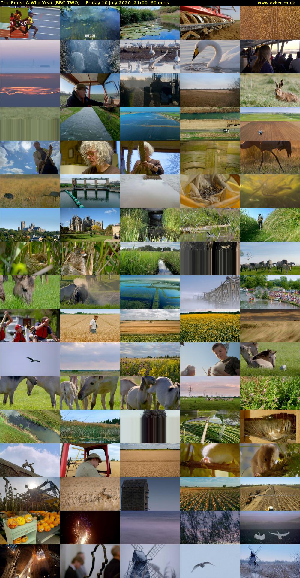The Fens: A Wild Year (BBC TWO) Friday 10 July 2020 21:00 - 22:00