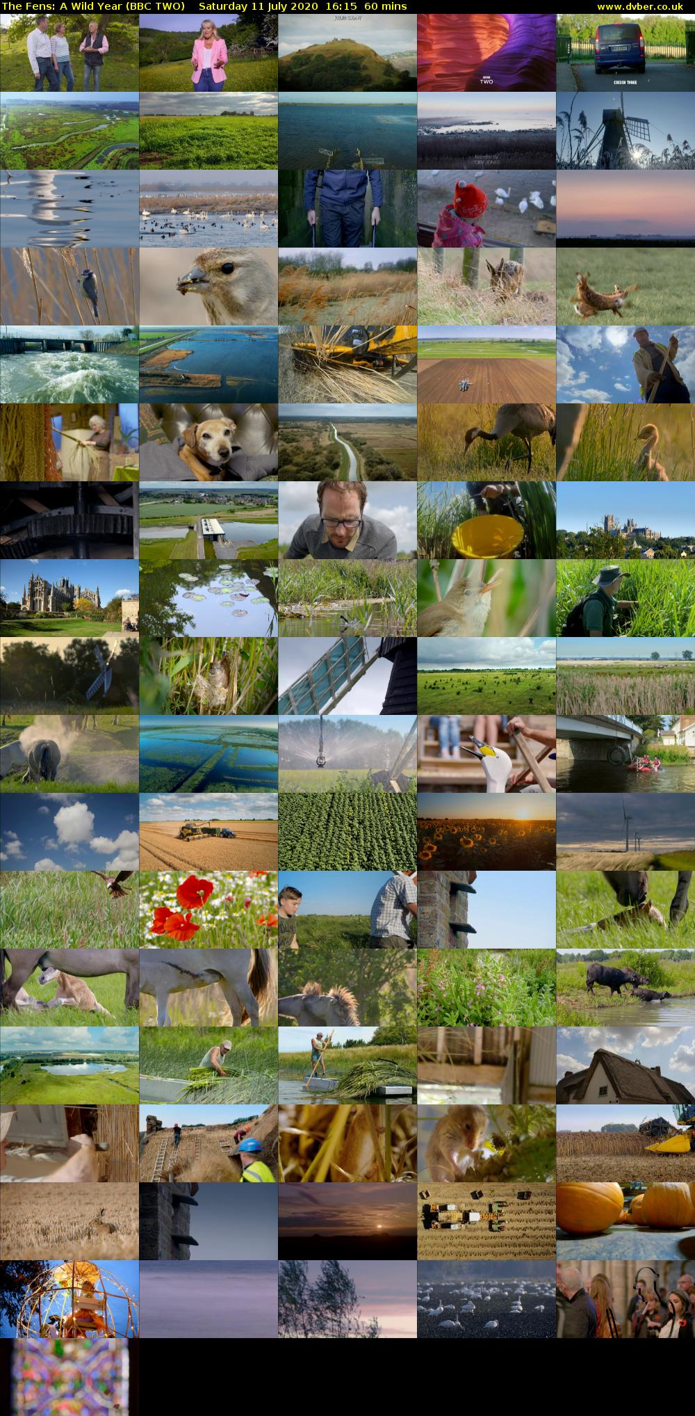 The Fens: A Wild Year (BBC TWO) Saturday 11 July 2020 16:15 - 17:15