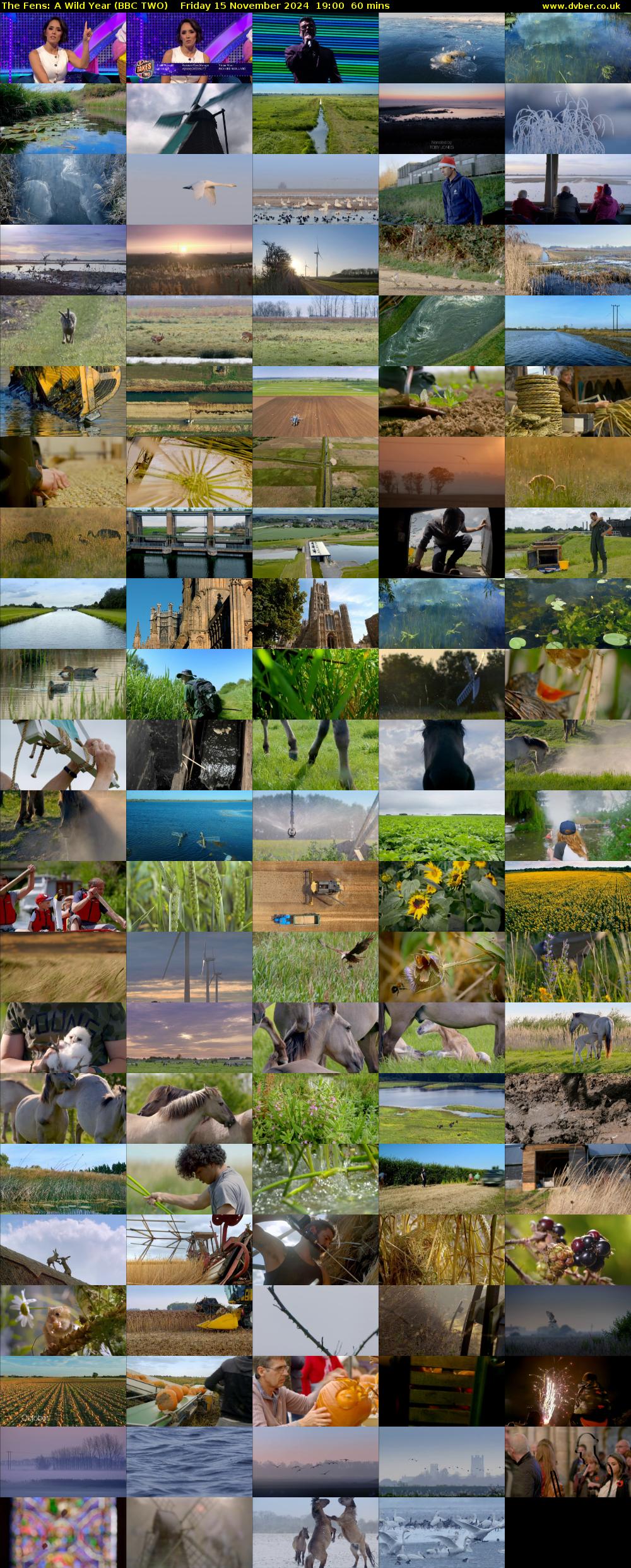 The Fens: A Wild Year (BBC TWO) Friday 15 November 2024 19:00 - 20:00